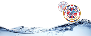 opulent-pools-gold-standard-award-winning-swimming-pool-builder-sussex-surrey
